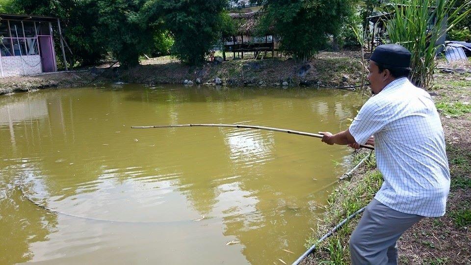 乌鲁冷岳罗帕海滨木屋别墅 外观 照片